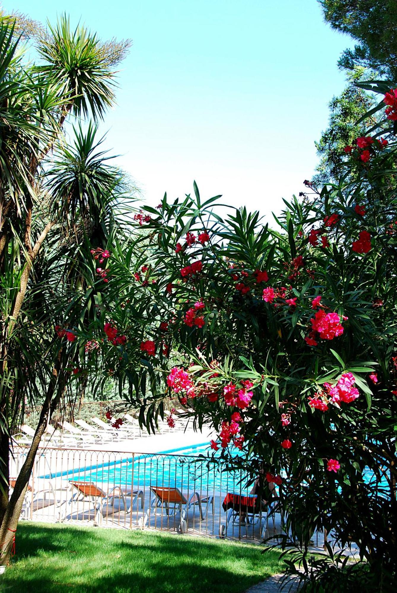 Hotel Les Mazets Des Roches Tarascon Eksteriør bilde